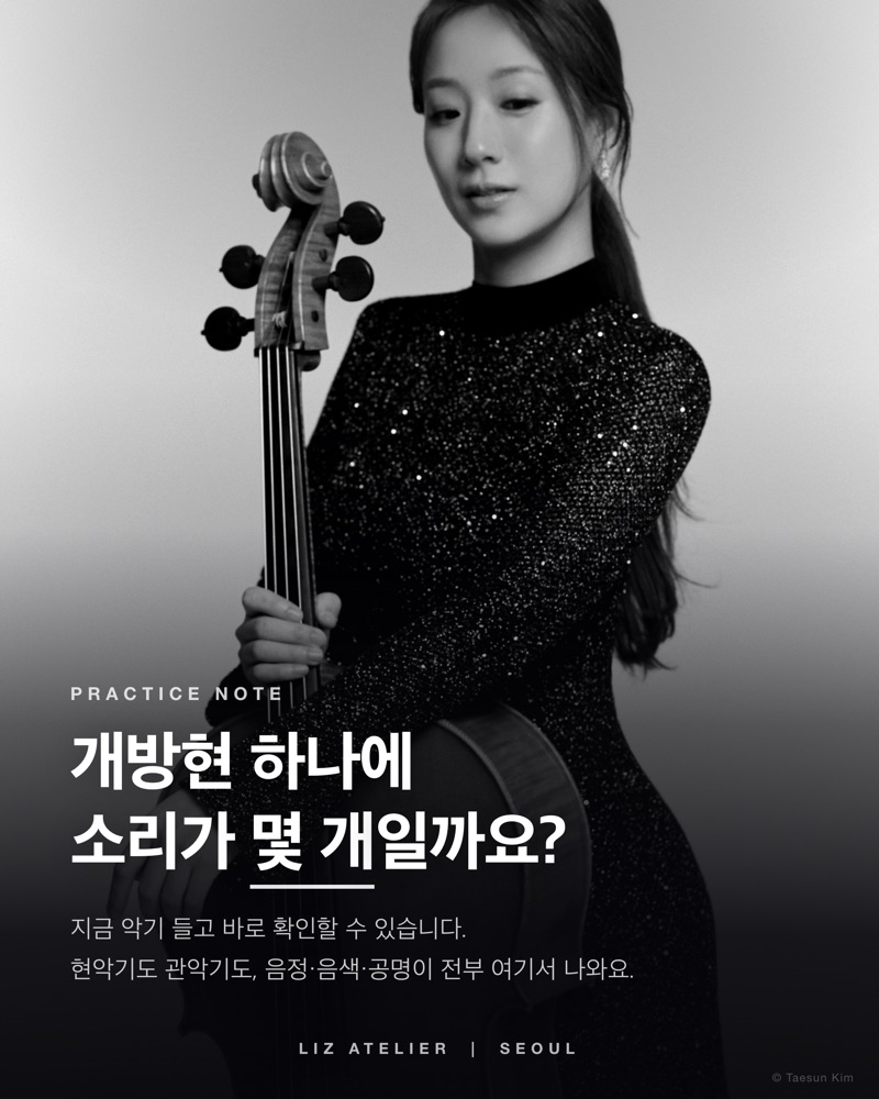 개방현 하나에 소리가 몇 개일까요?